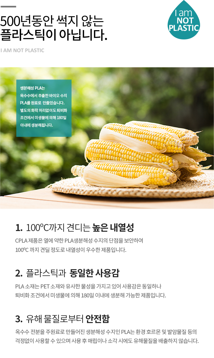 PLA 일회용 스푼 검정 1000개